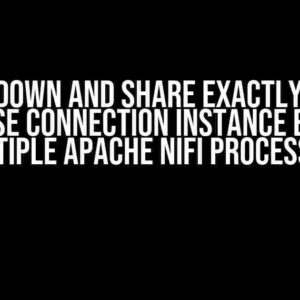 Lock down and share exactly same database connection instance between multiple Apache NiFi processors